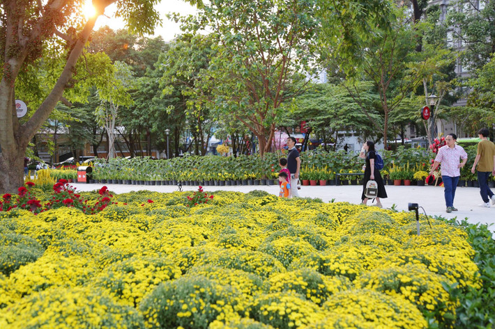 Việc biến các khu đất “vàng” tạm thời chưa sử dụng thành vườn hoa Tết không chỉ giúp làm đẹp cảnh quan đô thị mà còn góp phần tạo không gian sinh hoạt cộng đồng, kích cầu du lịch và thương mại dịp cuối năm.