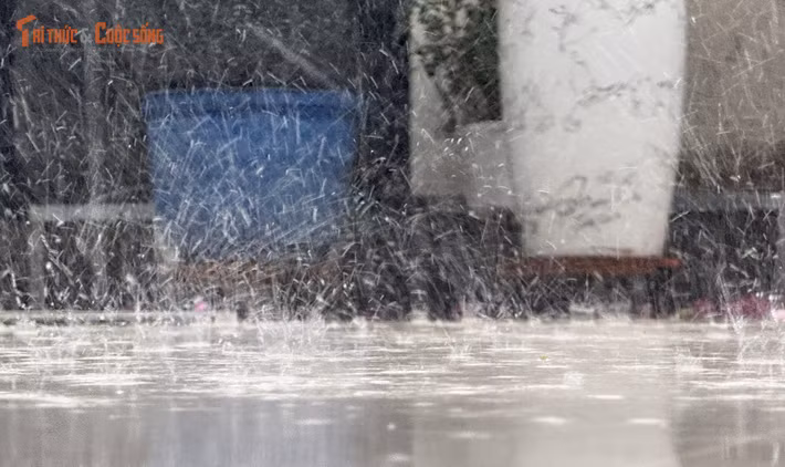 Đài Khí tượng Thủy văn Nam Bộ cũng cho biết thời tiết khu vực TP HCM từ ngày 2 đến 11/5, ngày nắng nóng, nhất là trưa và chiều; chiều tối và tối có khả năng xuất hiện mưa dông.