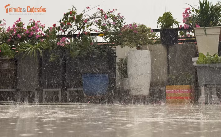 Đến 16h cùng ngày, mưa bắt đầu nặng hạt và kéo dài trãi rộng khắp địa bàn TP HCM và các khu vực lân cận...