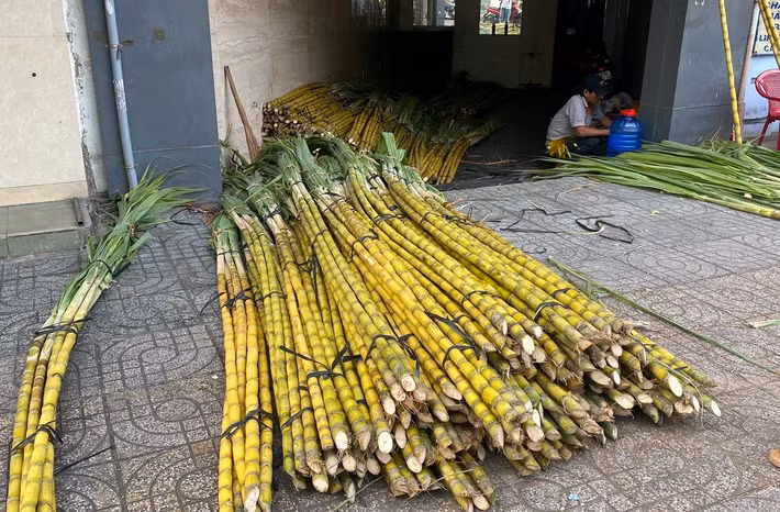 Theo các tiểu thương, năm nay nguồn hàng dồi dào, chất lượng tốt nên giá cả khá ổn định, dao động từ 50.000 - 120.000 đồng/cặp tùy kích cỡ.