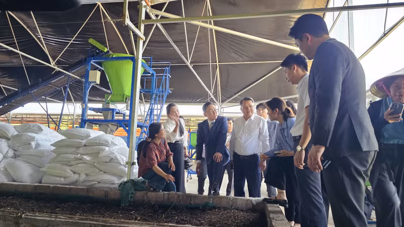 Hải Phòng luôn tạo điều kiện để mô hình ứng dụng KHCN triển khai thuận lợi