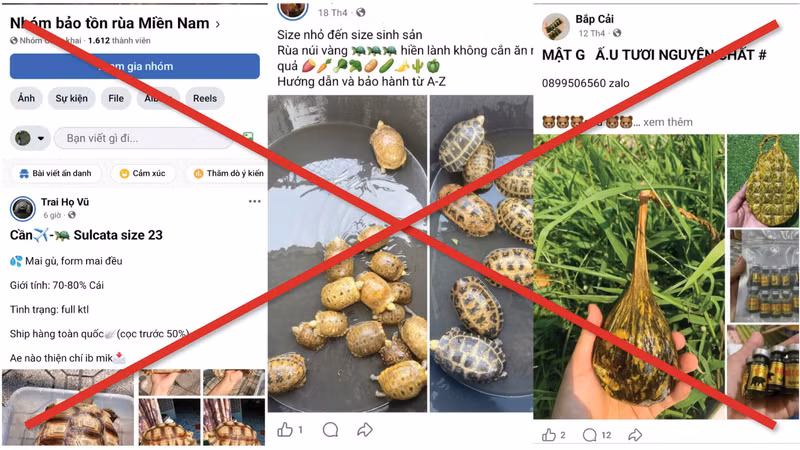 Tràn lan "chợ đen" thú rừng trên mạng
