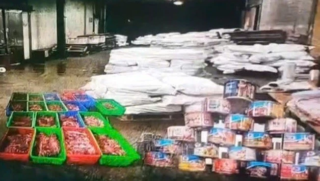 Khởi tố vụ 120 tấn thịt lợn nhiễm bệnh đưa vào Công ty đồ hộp Hạ Long