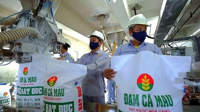 Ảnh minh họa dam-ca-mau-17503074382321858248554.jpg