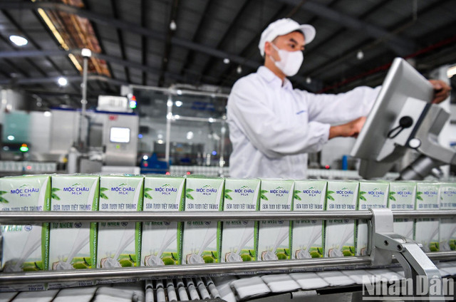 Ảnh minh họa image-6.jpg