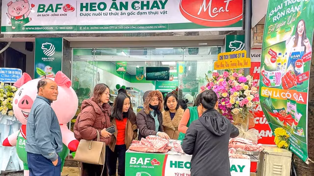 heo-an-chay-baf-viet-nam-baf-doanh-thu-lap-ky-luc-moi-dam-bao-chat-luong-heo-sach-684a806182c87.jpg