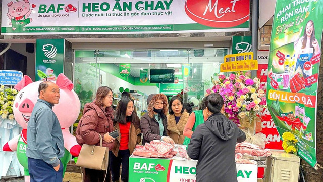 heo-an-chay-baf-viet-nam-baf-doanh-thu-lap-ky-luc-moi-dam-bao-chat-luong-heo-sach-684a806182c87.jpg
