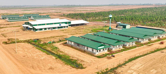 Ảnh minh họa hagl-agrico-tiep-tuc-lo-hon-100-ty-dong-trong-quy-22025-2025080111284820250818114654.jpg