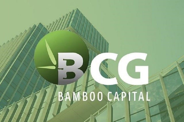 bamboo-capital-doi-mat-lo-hon-8000-ty-bien-dong-nhan-su-lien-tuc-ke-hoach-tai-cau-truc-lieu-co-du-manh-de-phuc-hoi-1765160924.jpg