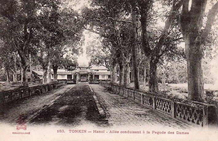 Lối đi sau cổng tam quan nội, dẫn đến khoảng sân có nhà bát giác.