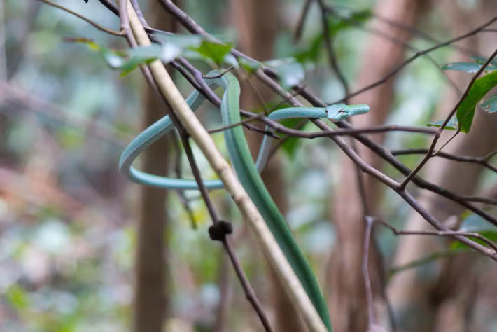 Vẻ đẹp của cuộc sống hoang dã. Ảnh: Nicolas Michaelis / 500px.com.