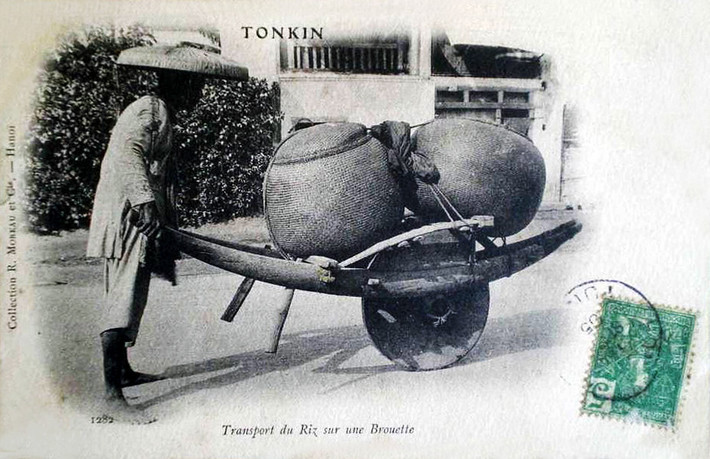 Chở gạo bằng xe rùa. 