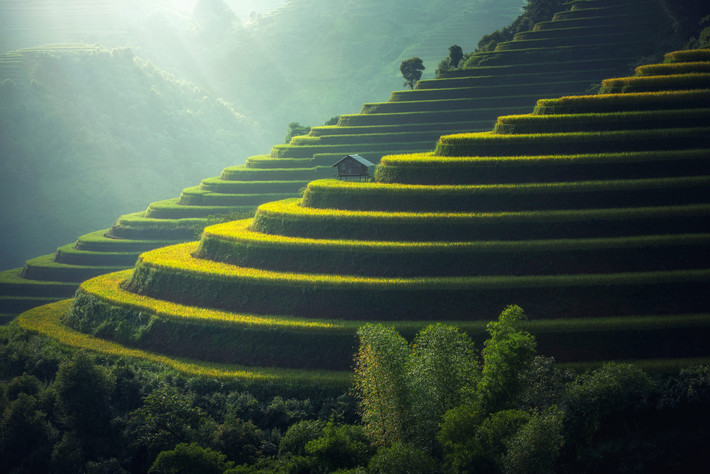 Ngôi nhà nhỏ trên ruộng bậc thang Mù Căng Chải. Ảnh: Sasin Tipchai / 500px.com.