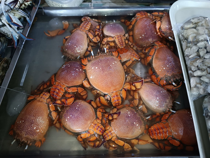 Nổi tiếng như một loại hải sản thơm ngon, cua huỳnh đế được đánh bắt trên hầu hết phạm vi phân bố của mình. Ngư trường lớn nhất là ở Australia, nơi sản lượng đánh bắt hàng năm đạt khoảng 4.000 tấn. Ảnh: Mangingisda 🇵🇸🇵🇸🇵🇸.