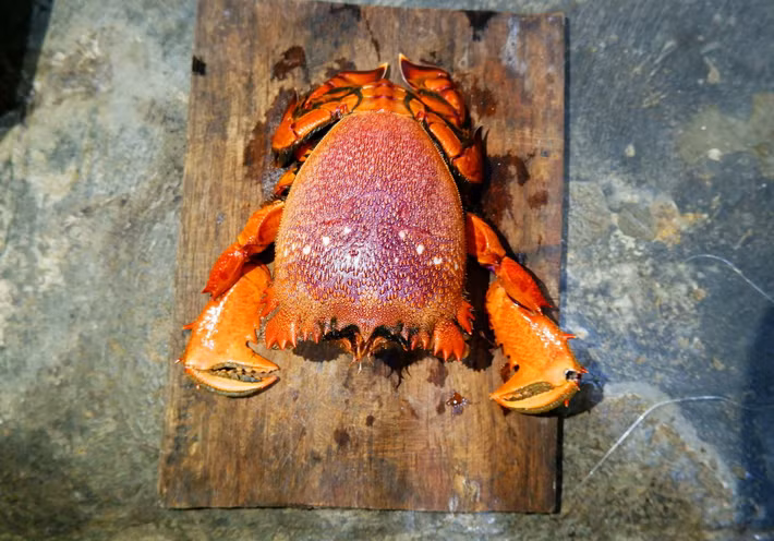 Nhưng sau khi trở thành sản vật tiến vua chúa, quan địa phương lệnh dân phải đọc trại "hoàng đế" thành “huỳnh đế” vì sợ phạm húy. Cái tên "huỳnh đế" được sử dụng từ khi đó đến nay. Ảnh: Vecteezy.