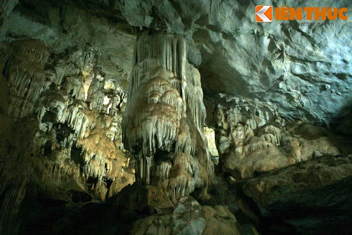 Theo các khảo sát, hang Dơi có diện tích khoảng 6.915 m2, có chiều dài 80m, cao 20m, rộng 25m, kết cấu thành 3 khoang lớn, được ngăn bằng các khối nhũ đá, măng đá, rèm đá, tường đá rất đa dạng.