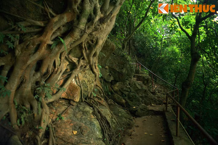 3. Động Sơn Mộc Hương, còn gọi là hang Dơi nằm trên một sườn núi thuộc thị trấn Mộc Châu, huyện Mộc Châu, tỉnh Sơn La, để lên được hang động, du khách phải vượt qua 240 bậc thang với chiều cao khoảng 100m.