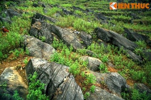 Đặc tính phân lớp, thành phần của đá và đặc điểm các lực kiến tạo đã tạo ra một hệ thống khe nứt đẳng hướng, vuông góc với mặt lớp, thúc đẩy quá trình phong hóa, rửa lũa và bóc mòn đá vôi, tạo nên di sản địa mạo đặc sắc này.