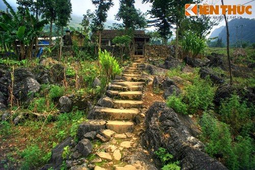 "Đàn sư tử biển" cùng với "nền văn hóa đá" của cư dân bản địa đặc trưng bởi nhà trình tường, hàng rào đá, bậc thang đá và nương đá góp phần tạo nên di sản độc đáo của cao nguyên đá Đồng Văn.