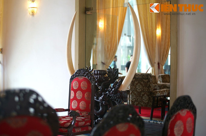 Theo đó, đầu năm 1971, một sĩ quan Sài Gòn đã ngỏ ý mua cặp ngà từ con voi lớn của một nhóm người Thượng gặp ở biên giới Việt - Lào. Bị từ chối, viên sĩ quan trình bày sự việc với thiếu tá Thọ, là bà con bên vợ của Tổng thống Thiệu và nhận lệnh bằng mọi giá phải lấy được cặp ngà voi, không thương thảo được thì bắn bỏ hết.