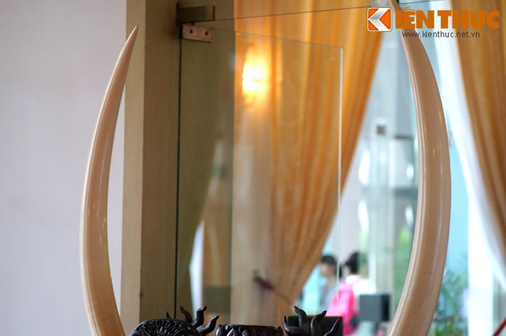 Không thỏa thuận được, viên sĩ quan đã ra lệnh cho lính bắn chết toàn bộ đoàn người dân tộc. Con voi bị giết chết và lấy đi cặp ngà quý giá. Sau đó đơn vị quân đội giữ cặp ngà bị phục kích và bao vây. Một trực thăng đặc biệt được điều động xuyên rừng đưa cặp ngà và các sĩ quan rời trận địa.