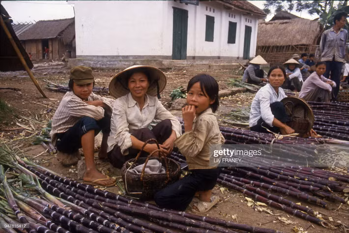 Người phụ nữ bán mía ở chợ quê.