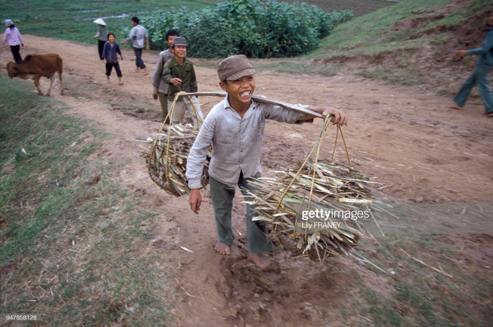 Chú bé gánh vỏ mía trên đường làng.