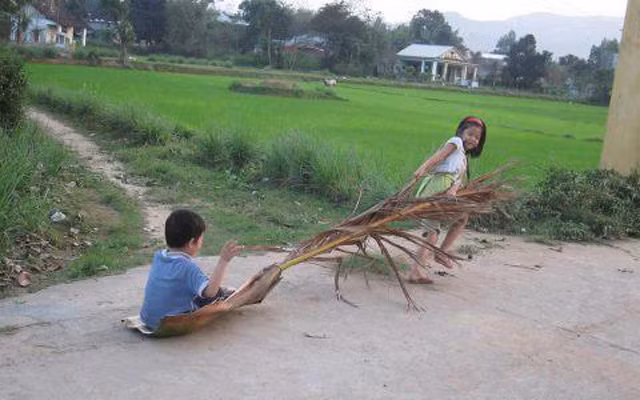 Mo cau là phần đầu của tàu cau, giúp tàu cau bám vào thân cau. Khi những nhánh lá cau già, khô héo thì tàu cau rụng xuống. Những tàu cau lớn thường được trẻ em nông thôn dùng làm "thuyền" kéo nhau đi khắp xóm.