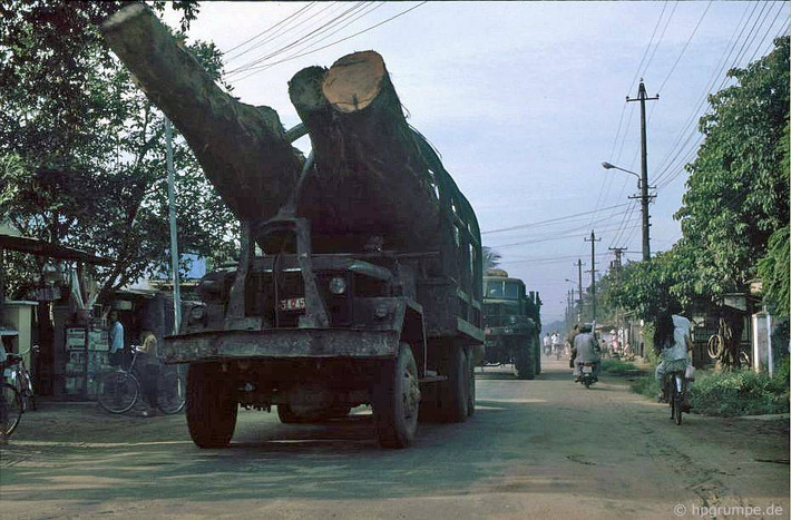 Xe tải chở những thân cây gỗ khổng lồ trên Quốc lộ 1.