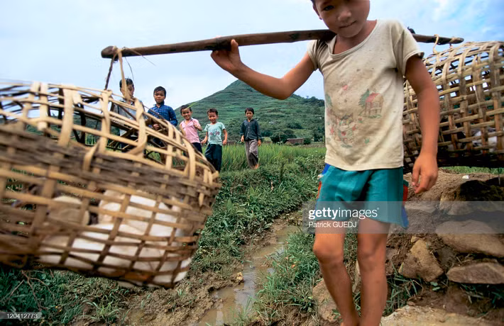Cậu bé Cao Bằng gánh hai rọ vịt ra chợ.