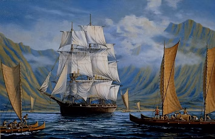 Năm 1768, Cook - một nhà khảo sát thuộc Hải quân Hoàng gia - đã được ủy nhiệm làm trung úy chỉ huy tàu HMS Endeavour và dẫn đầu cuộc thám hiểm đưa các nhà khoa học đến Tahiti để ghi lại hành trình (quỹ đạo) của sao Kim.