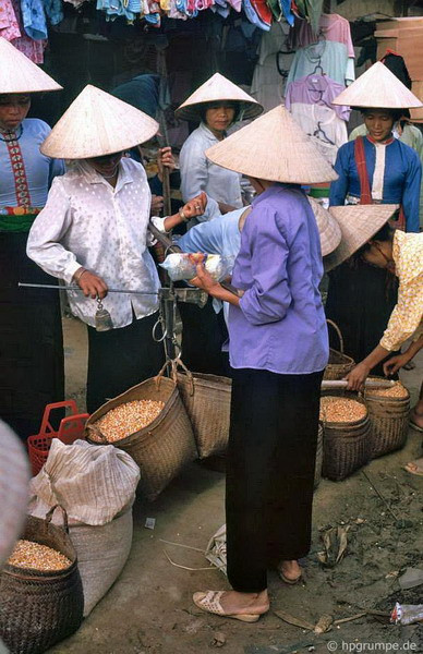 Ngô - sản phẩm trồng trọt quan trọng ở Điện Biên Phủ.