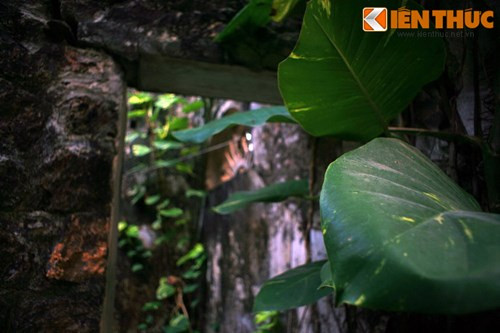 ...Càng tô điểm thêm cho sự hoang tàn.