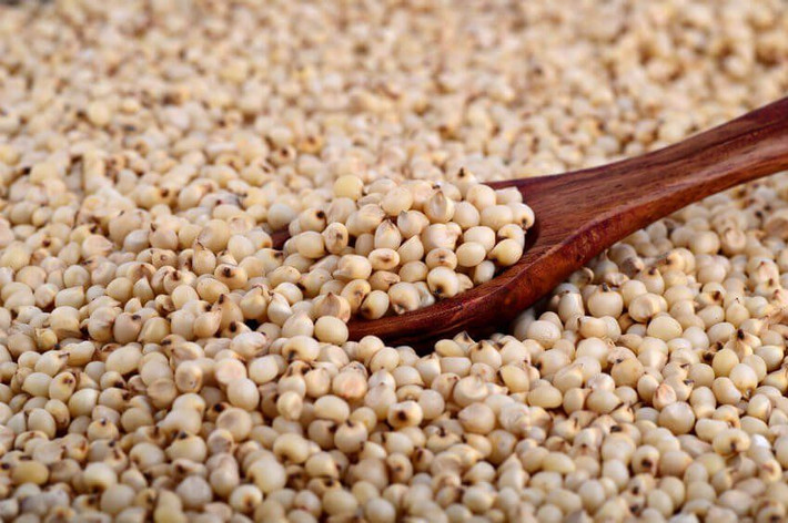 Nhiều người thời nay sẽ "không nuốt nổi" hạt bo bo. Nhưng trong hoàn cảnh thiếu thốn thời đó, bo bo vẫn là thứ có thể chấp nhận được trong bữa ăn hàng ngày...