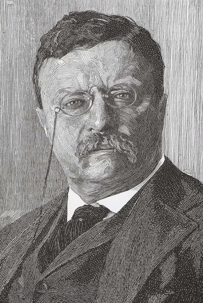 Con đường trở thành tổng thống: Ông trở thành Tổng thống thứ 26 sau khi William McKinley bị ám sát năm 1901. Là một nhân vật năng động, Roosevelt thúc đẩy các cải cách tiến bộ và có sự nghiệp chính trị nổi bật từ trước khi lên nắm quyền. Ảnh: Pinterest.