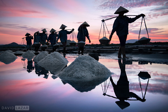 Trên ruộng muối buổi sớm tinh sương.