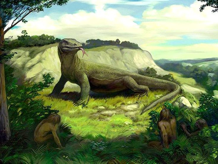  Họ hàng với rồng Komodo. Kỳ đà khổng lồ thuộc chi Varanus, cùng nhóm với rồng Komodo hiện đại. Điều này cho thấy nó có thể sở hữu lối săn mồi tương tự, dựa vào sức mạnh, tốc độ và khả năng theo dõi con mồi bền bỉ. Ảnh: Pinterest.