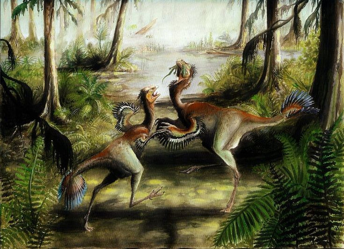  Chúng thuộc nhóm khủng long theropod. Đây là nhóm có quan hệ tiến hóa gần nhất với chim, bao gồm cả loài khủng long nổi tiếng Velociraptor. Ảnh: Pinterest.