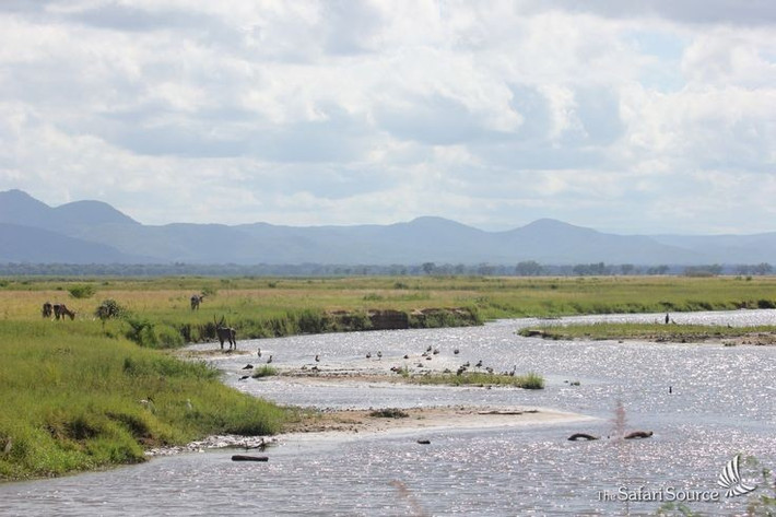 Hệ sinh thái ngập lũ theo mùa độc đáo. Mỗi năm, khi nước sông Zambezi dâng cao, vùng đồng bằng biến thành biển nước mênh mông, tạo điều kiện cho cá, chim và thú lớn sinh sôi mạnh mẽ. Ảnh: Pinterest.