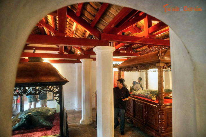 Nơi lưu giữ hai tiêu bản rùa Hồ Gươm quý hiếm. Hai tiêu bản rùa – một mất năm 1967 và một mất năm 2016 – được trưng bày ở gian chái bên phải khu đền chính, gợi nhắc về huyền thoại vua Lê Lợi trả gươm cho Rùa Thần.