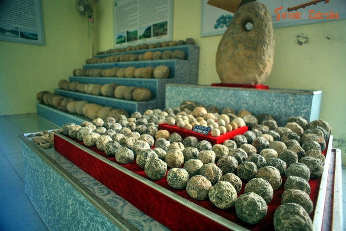 Nhiều hiện vật quý được tìm thấy. Thành nhà Hồ là một khu khảo cổ quan trọng, nơi rất nhiều hiện vật quý giá đã được tìm thấy, như những viên đạn bằng đá, đồ gốm sứ, tượng điêu khắc…