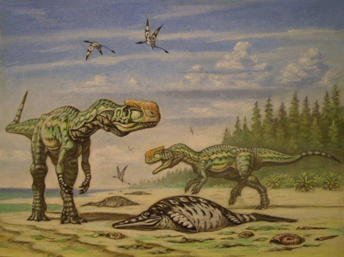  Giúp hiểu rõ quá trình tiến hóa của khủng long theropod. Vị trí tiến hóa của Monolophosaurus cung cấp manh mối quan trọng về sự đa dạng của các loài khủng long theropod kỷ Jura và quá trình phát triển các đặc điểm hộp sọ phức tạp, góp phần làm sáng tỏ lịch sử tiến hóa của khủng long ăn thịt. Ảnh: Pinterest.