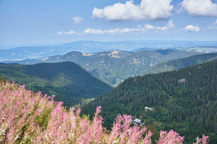  Đỉnh Feldberg cao nhất khu vực. Với độ cao khoảng 1.493 mét, Feldberg là đỉnh núi cao nhất Rừng Đen, thu hút du khách đến trượt tuyết vào mùa đông và đi bộ đường dài vào mùa hè. Ảnh: Pinterest.