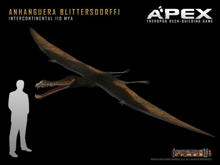  Sải cánh lớn giúp bay xa trên biển. Anhanguera có sải cánh khoảng 4–4,5 mét, đủ lớn để bay lượn trên các vùng biển cổ đại. Với đôi cánh màng da kéo dài từ thân đến các ngón tay dài, chúng có thể tận dụng gió biển để bay xa mà không tốn quá nhiều năng lượng. Ảnh: Pinterest.