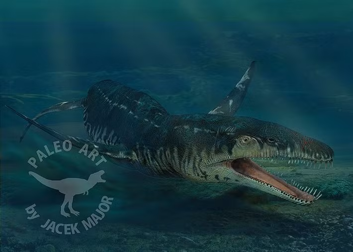  Xuất hiện nhiều trong các phim tài liệu cổ sinh. Liopleurodon xuất hiện nổi bật trong nhiều phim khoa học, khiến nó trở thành biểu tượng sinh vật biển thời tiền sử. Ảnh: Pinterest.