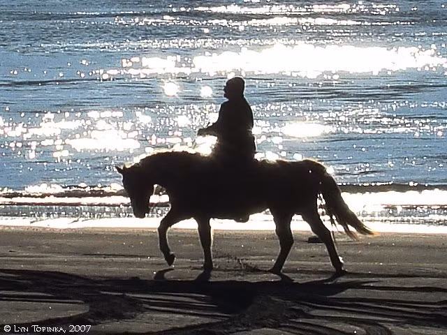  Ghi nhớ cảm xúc và trải nghiệm. Không chỉ nhớ sự việc, ngựa còn ghi nhớ cảm xúc gắn liền với trải nghiệm, khiến chúng phản ứng khác nhau với những người hoặc tình huống từng mang lại cảm giác tích cực hay tiêu cực. Ảnh: Pinterest.