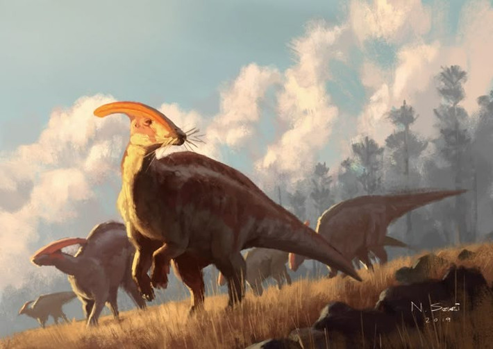  Là khủng long ăn cỏ điển hình. Parasaurolophus thuộc nhóm khủng long mỏ vịt (hadrosaur), sử dụng mỏ dẹt để cắt lá và hệ thống răng dày đặc phía sau để nghiền nát thực vật cứng. Ảnh: Pinterest.