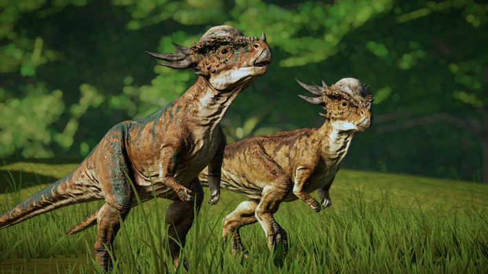  Biểu tượng của sự tiến hóa thích nghi. Stygimoloch thể hiện sự đa dạng hình thái đáng kinh ngạc trong nhóm khủng long đầu vòm. Ảnh: Pinterest.