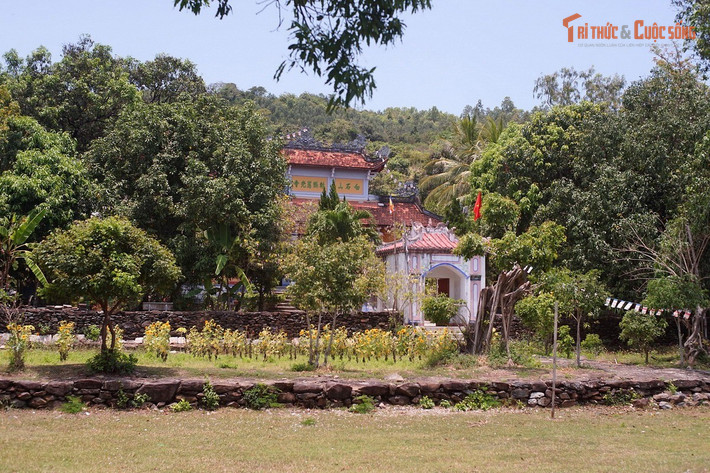 Chùa có tên chữ là Từ Quang, nhưng dân gian quen gọi là chùa Đá Trắng vì nằm trên ngọn núi có nhiều tảng đá màu trắng nổi bật giữa cây rừng.