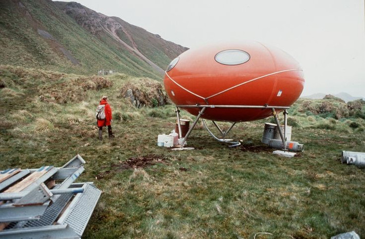  Chiến dịch phục hồi sinh thái quy mô lớn. Chính phủ Úc đã triển khai một trong những chương trình diệt trừ loài xâm lấn lớn nhất thế giới tại Macquarie. Nhờ đó, hệ sinh thái đảo đang dần phục hồi và cân bằng trở lại. Ảnh: Pinterest.